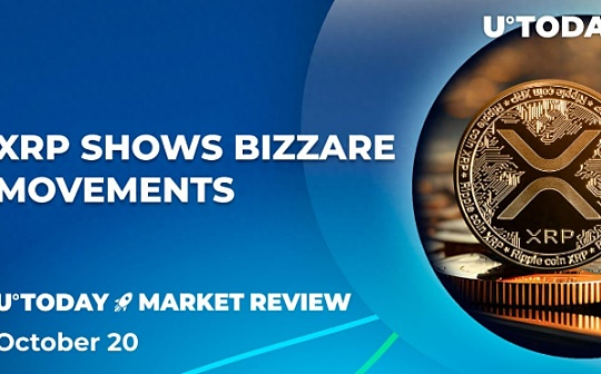 狗狗币好还是比特币好