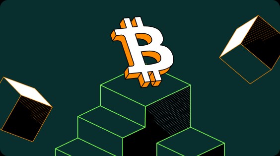 猪币App客户端安卓版 猪币手机交易所安卓版下载-第9张图片-欧易交易所