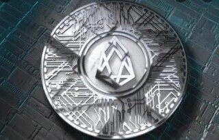 柚子币官网版下载app 柚子币官方安卓版