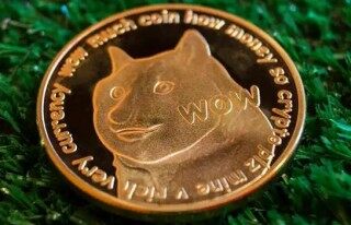 狗狗doge交易所app手机端下载 狗狗doge币v6.0.18安卓最新下载