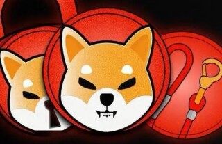 屎币app手机钱包下载 屎币安卓下载最新