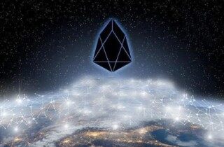 柚子币eos交易所app下载 柚子币eos手机端最新版