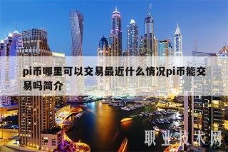 pi币哪里可以交易最近什么情况pi币能交易吗简介