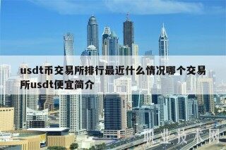 usdt币交易所排行最近什么情况哪个交易所usdt便宜简介