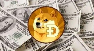 狗狗币每年增发多少(狗狗币每年增发50亿属于谁）