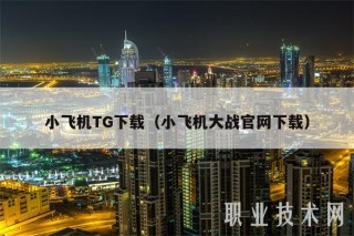 小飞机TG下载（小飞机大战官网下载