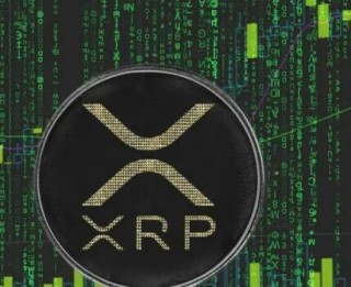 shib币现存币剩多少(shib 什么币)