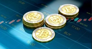 宝贝狗币今日最新价格(宝贝狗币官方最新信息)