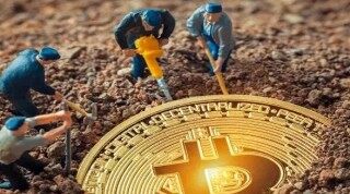 狗币今日价格(狗币今日价格查询)