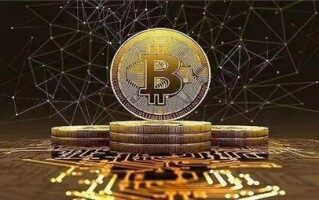 2024 年加密趋势报告：行业专家谈 ETF、减半、AI……