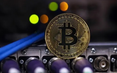 虚拟货币软件（排名前十都有谁）