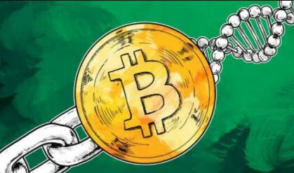 三大虚拟货币交易所（详解）